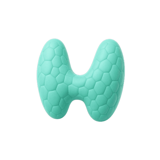 Ícone de Endocrinologia